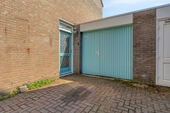 Knopkruid455803JVVenray-06.jpg