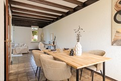 Knopkruid455803JVVenray-14.jpg