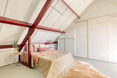 Knopkruid455803JVVenray-27.jpg