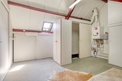 Knopkruid455803JVVenray-30.jpg