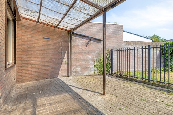 Knopkruid455803JVVenray-33.jpg