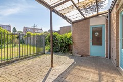 Knopkruid455803JVVenray-34.jpg