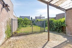 Knopkruid455803JVVenray-35.jpg