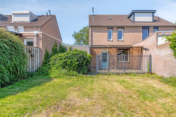 Knopkruid455803JVVenray-38.jpg