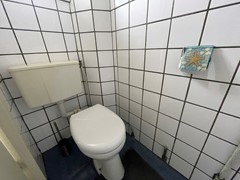 IMG_0241.jpeg