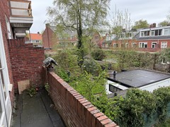 IMG_1798.jpeg