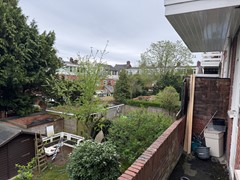 IMG_1799.jpeg