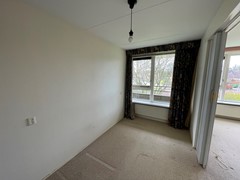 IMG_1197.jpeg