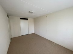 IMG_1203.jpeg