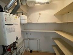 IMG_1196.jpeg