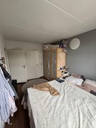 IMG_6911.jpeg