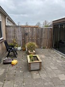 IMG_6902.jpeg