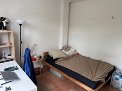 IMG_2483.jpeg
