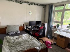 IMG_2500.jpeg