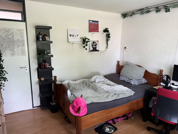 Medium property photo - Diamantlaan 151, 9743 BD Groningen