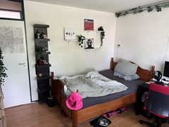 IMG_2501.jpeg