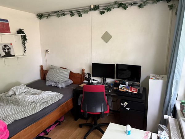 Medium property photo - Diamantlaan 151, 9743 BD Groningen