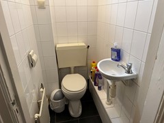 IMG_2515.jpeg