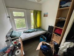 IMG_9339.jpeg