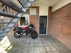IMG_8609.jpeg