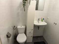 IMG_2724.jpeg