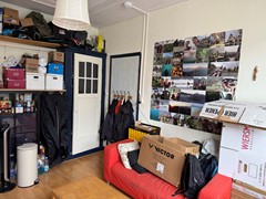 IMG_2771.jpeg