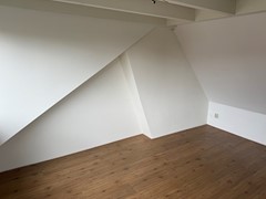IMG_2806.jpeg
