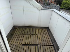 IMG_2808.jpeg