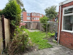 IMG_3058.jpeg