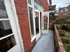 IMG_7445.jpeg