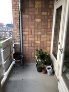IMG_1517.jpeg