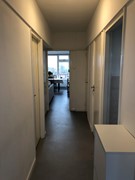 IMG_1540.jpeg