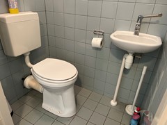 IMG_7734.jpeg