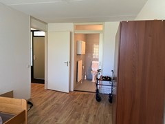 IMG_7736.jpeg
