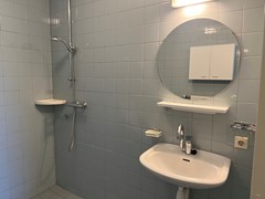 IMG_7737.jpeg