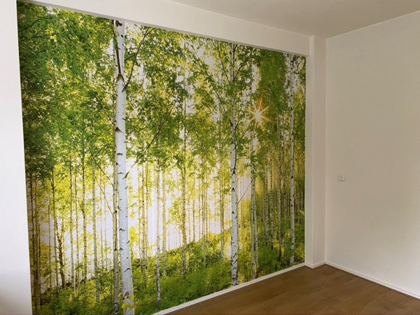 Medium property photo - Schaepmanlaan 75, 9722 NS Groningen