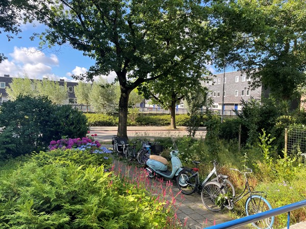 Medium property photo - Van Iddekingeweg 103, 9721 CD Groningen