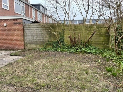 Medium property photo - Barnsteenstraat 25, 9743 AS Groningen