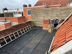 IMG_1296.jpeg