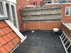 IMG_1297.jpeg