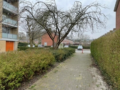 Medium property photo - Barnsteenstraat 25-5, 9743 AS Groningen