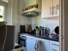 IMG_4621.jpeg