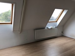 IMG_7833.jpeg