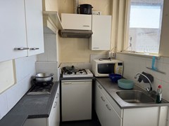 IMG_1384.jpeg