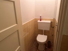 IMG_2905.jpeg