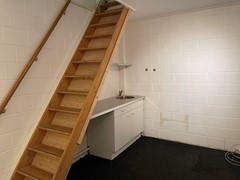 IMG_1439.jpeg