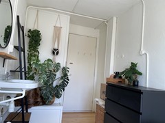 IMG_1474.jpeg