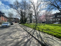 IMG_6536.JPG