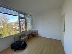 IMG_1199.jpeg