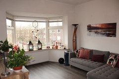 IMG_9819.JPG
